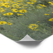 Ein Kalb inmitten der Sonnenblumen des Nebraska Poster (Ecke)