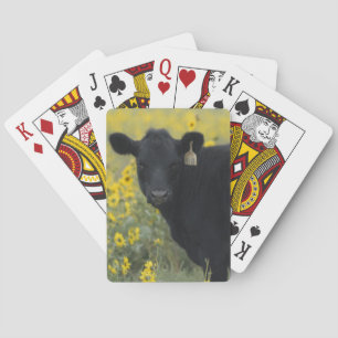 Ein Kalb inmitten der Sonnenblumen des Nebraska Spielkarten