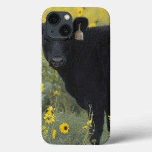Ein Kalb zwischen den Sonnenblumen von Nebraska Case-Mate iPhone Hülle