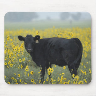 Ein Kalb zwischen den Sonnenblumen von Nebraska Mousepad