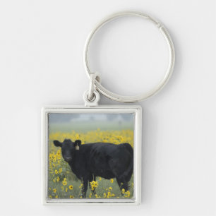 Ein Kalb zwischen den Sonnenblumen von Nebraska Schlüsselanhänger