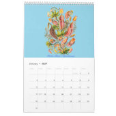 Ein Kalender 2012 der Pflanzenzeichnungen (Jan 2027)