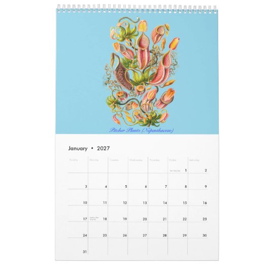 Ein Kalender 2012 der Pflanzenzeichnungen (Jan 2027)