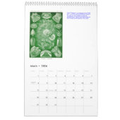 Ein Kalender aus den Zeichnungen von Ernst Haeckel (Mär 2026)