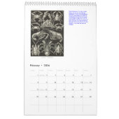 Ein Kalender aus den Zeichnungen von Ernst Haeckel (Feb 2026)