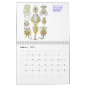 Ein Kalender der mikroskopischen Pflanzen und der (Feb 2026)