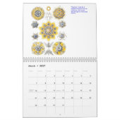 Ein Kalender der mikroskopischen Pflanzen und der (Mär 2027)