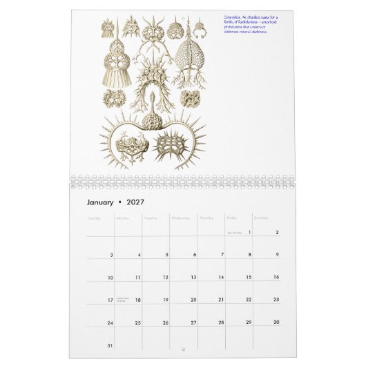 Ein Kalender der mikroskopischen Pflanzen und der (Jan 2027)