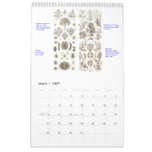 Ein Kalender der Pflanze Zeichnungen. (Mär 2027)