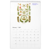 Ein Kalender der Pflanze Zeichnungen. (Feb 2027)
