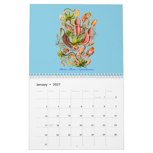 Ein Kalender der Pflanzen von Ernst Haeckel (Jan 2027)