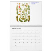 Ein Kalender der Pflanzen von Ernst Haeckel (Feb 2027)