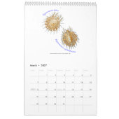 Ein Kalender der Spinnen durch Ernst Haeckel. (Mär 2027)