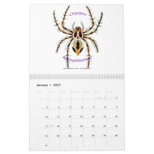 Ein Kalender der Spinnen durch Ernst Haeckel. (Jan 2027)