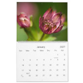 Ein Kalender des Blumen-Garten-2009 (Jan 2027)