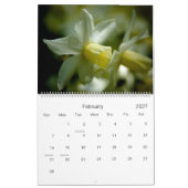 Ein Kalender des Blumen-Garten-2009 (Feb 2027)