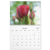 Ein Kalender des Tulpe-Garten-2010 (Jan 2027)