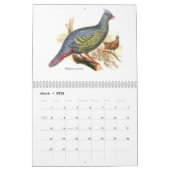 Ein Kalender von Vogel painitings von John Gould. (Mär 2026)