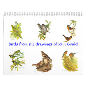 Ein Kalender von Vogel painitings von John Gould.