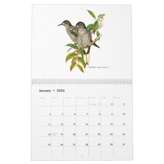 Ein Kalender von Vogel painitings von John Gould. (Jan 2026)