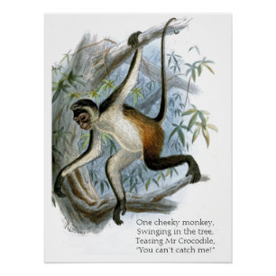 Ein kalter Affe CC0365 Kinder Poster
