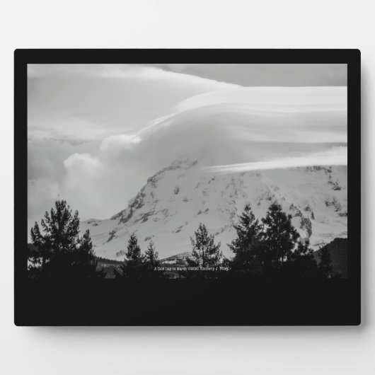 Ein kalter Tag im März Fotoplatte (Vorderseite)