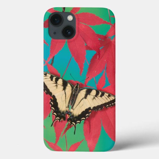 Ein kanadischer Tiger-Frack-Schmetterling Case-Mate iPhone Hülle (Rückseite)