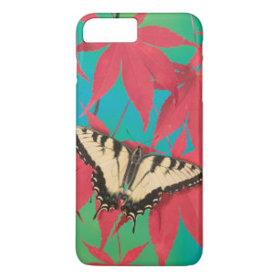 Ein kanadischer Tiger-Frack-Schmetterling Case-Mate iPhone Hülle