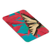 Ein kanadischer Tiger-Frack-Schmetterling Magnet (Rechte Seite)