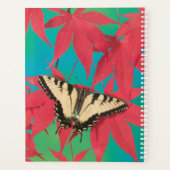 Ein kanadischer Tiger-Frack-Schmetterling Planer (Rückseite)