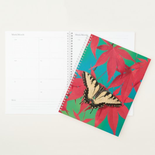 Ein kanadischer Tiger-Frack-Schmetterling Planer (Anzeige)