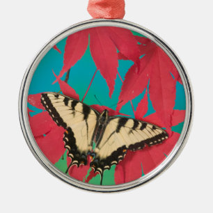 Ein kanadischer Tigerschwalbenschwanz-Schmetterlin Ornament Aus Metall