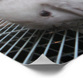 Ein Kaninchen in einem Kleid か わ い い 幸 せ Poster (Ecke)