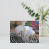 Ein Kaninchen in einem Kleid か わ い い 幸 せ Postkarte (Stehend Vorderseite)