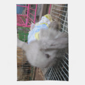 Ein Kaninchen in einem Kleid Handtuch (Vertikal)