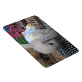 Ein Kaninchen in einem Kleid Magnet (Rechte Seite)