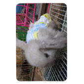 Ein Kaninchen in einem Kleid Magnet (Vertikal)