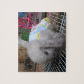 Ein Kaninchen in einem Kleid Puzzle (Vertikal)