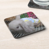 Ein Kaninchen in einem Kleid Untersetzer (Linke Seite)