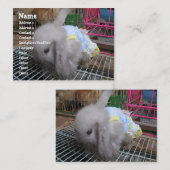 Ein Kaninchen in einem Kleid Visitenkarte (Vorne/Hinten)
