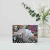 Ein Kaninchen in einem Kleid Visitenkarte (Stehend Vorderseite)