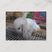 Ein Kaninchen in einem Kleid Visitenkarte (Rückseite)