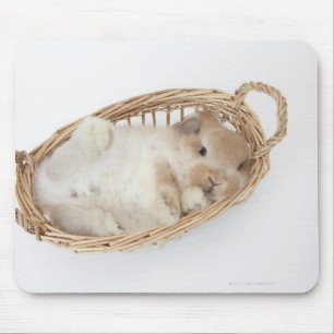 Ein Kaninchen ist in einem Korb. Mousepad