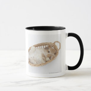 Ein Kaninchen ist in einem Korb. Tasse