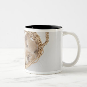Ein Kaninchen ist in einem Korb. Zweifarbige Tasse