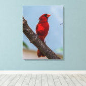 Ein Kardinal 18 x 24 Starke Leinwand drucken (Insitu (Holzboden))