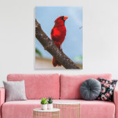 Ein Kardinal 18 x 24 Starke Leinwand drucken (Insitu (Wohnzimmer))