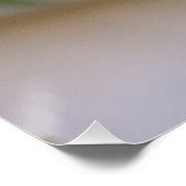 Ein Kardinal 20 x 25-Glossy-Poster Poster (Ecke)