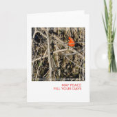 Ein Kardinal Weihnachten (Vorderseite)