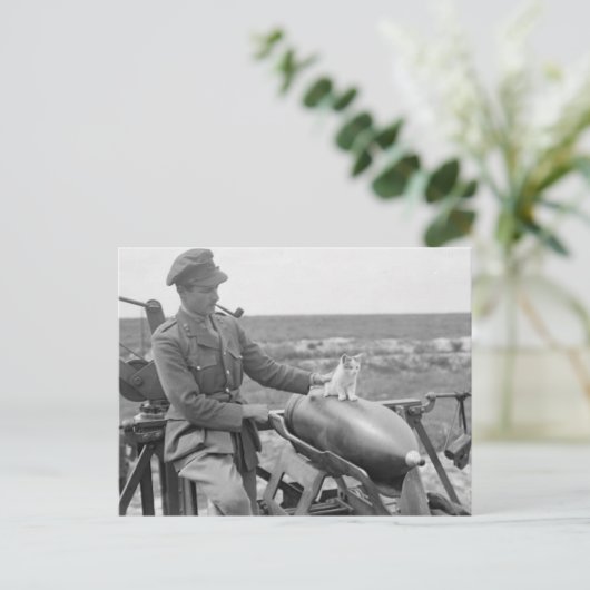 Ein Kätzchen im Krieg Postkarte (Stehend Vorderseite)